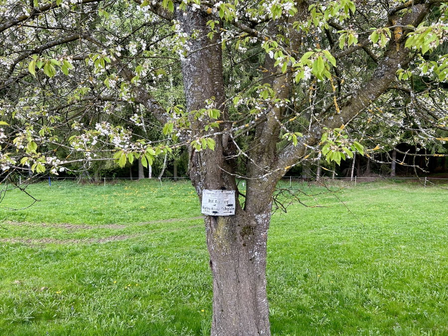 Nicht mehr weit bis zum Bahnhof in Kindberg. Foto Veronika Schöll