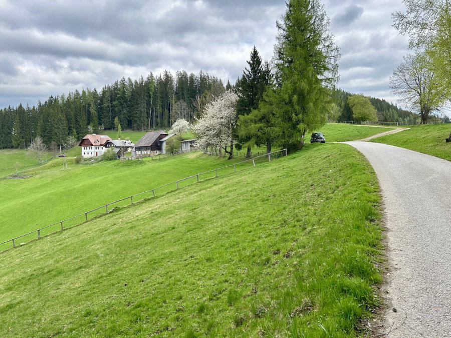 Maigrün! Foto Veronika Schöll