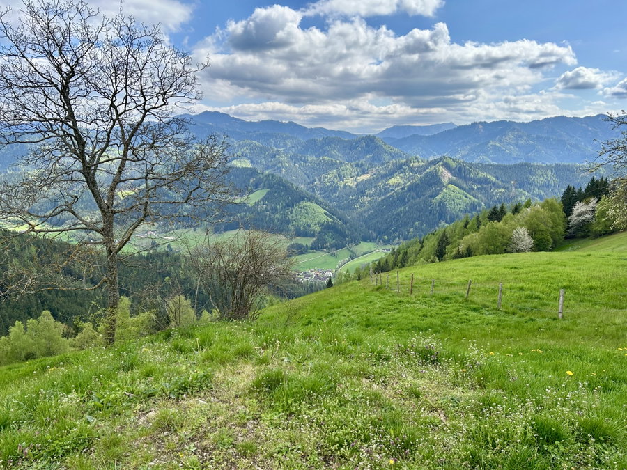 Blick ins Stanzertal. Foto Veronika Schöll