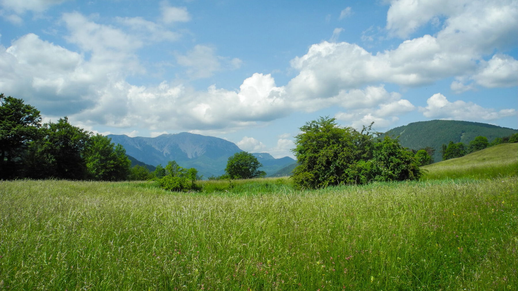 Im Hintergrund der Schneeberg. Foto: Barbara Wanzenböck