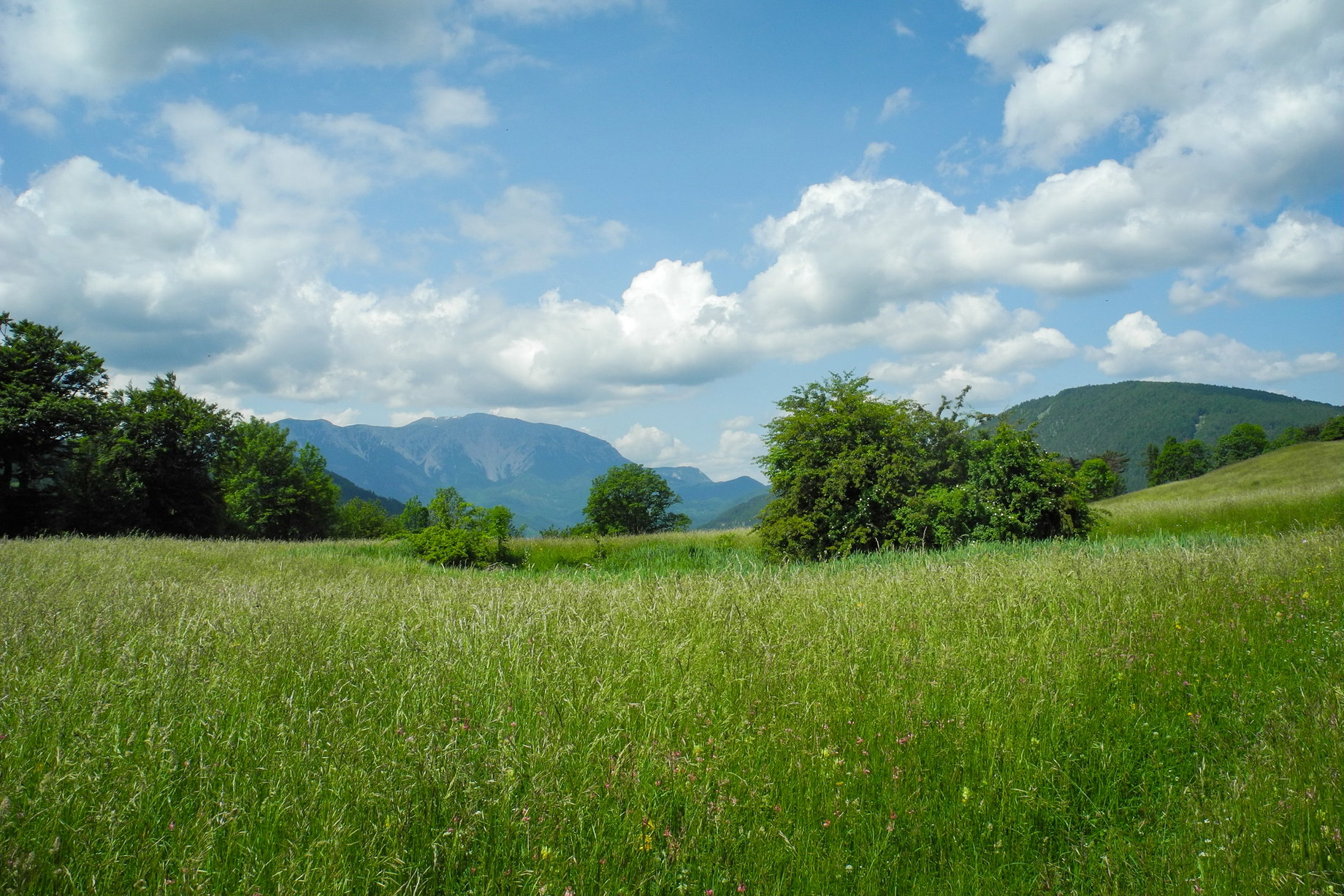 Im Hintergrund der Schneeberg. Foto: Barbara Wanzenböck