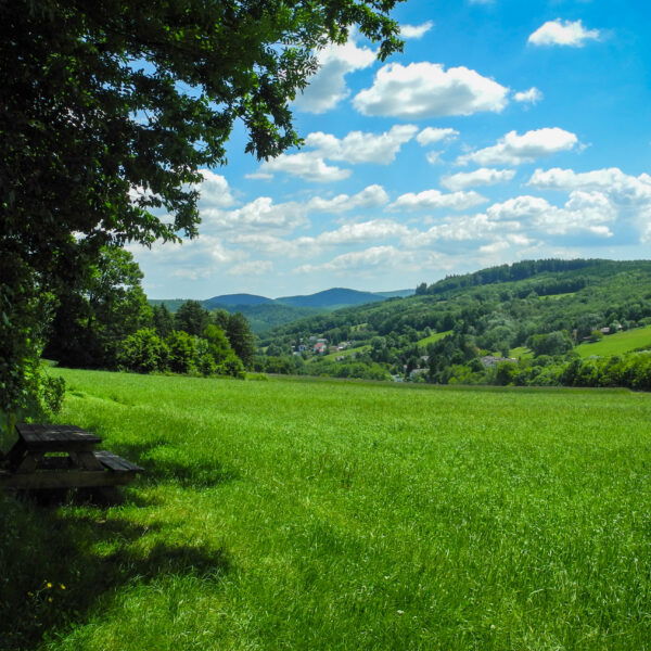 Blick ins Irenental und auf den Ortsteil Brettwies. Foto: Barbara Wanzenböck