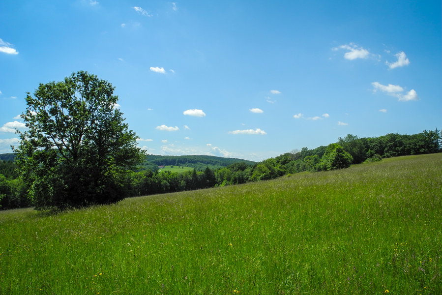 Blick Richtung Westen vom Wiesensattel bei der Mirli. Foto: Barbara Wanzenböck