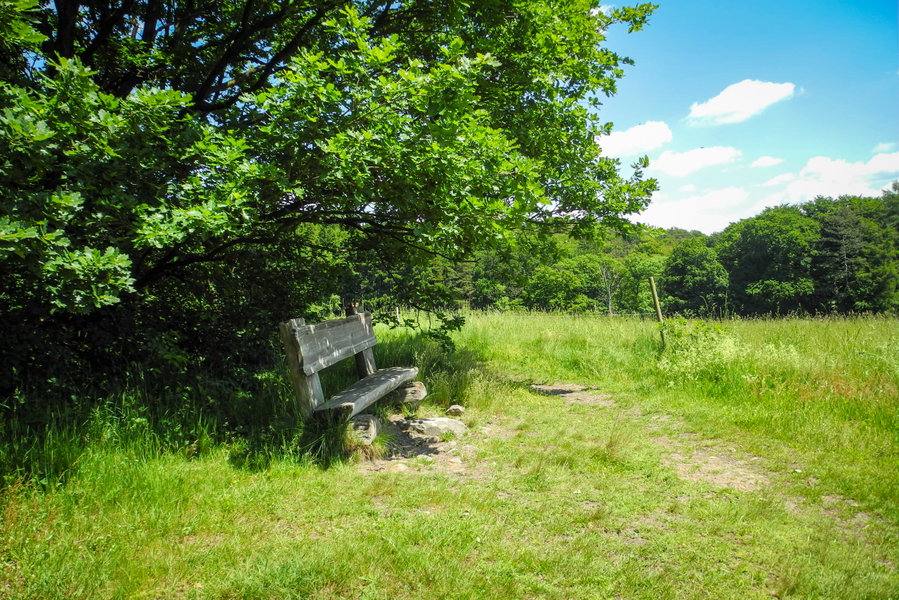 Rastplatz auf dem Hügel über dem Strohzogl. Foto: Barbara Wanzenböck