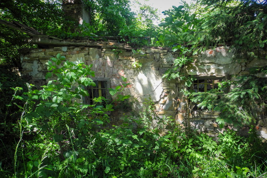 Allerletzte Reste der ehemaligen Jausenstation Rabenstein. Foto: Barbara Wanzenböck
