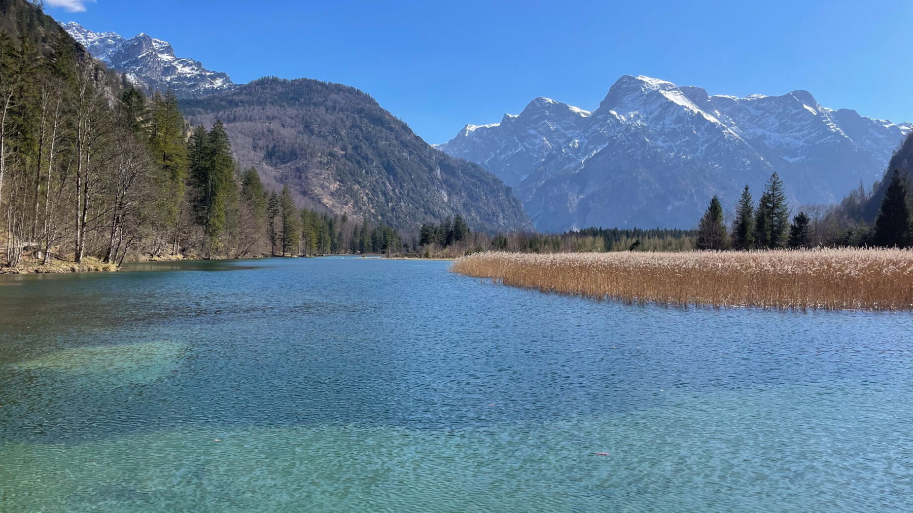 Blick von der Brücke Almtal Schwarzenbrunn am nördlichsten Teil vom Almsee. Foto: Eva Maria Ginal