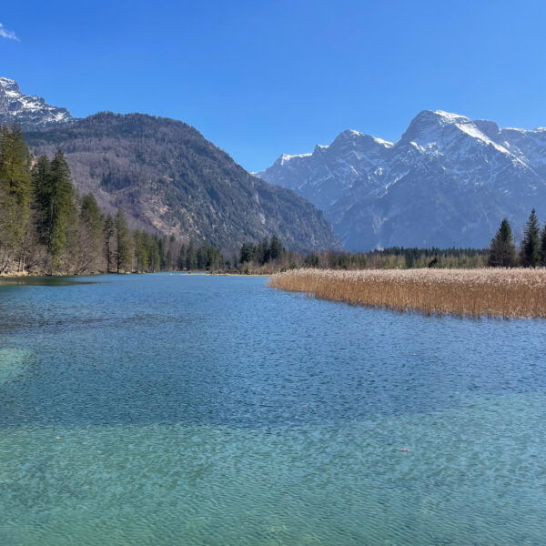 Blick von der Brücke Almtal Schwarzenbrunn am nördlichsten Teil vom Almsee. Foto: Eva Maria Ginal