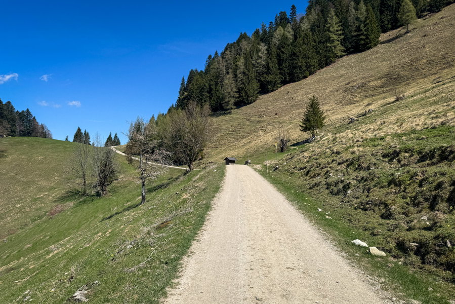 Weg nach der Wildbichl Alm. Foto: Bernhard Walle