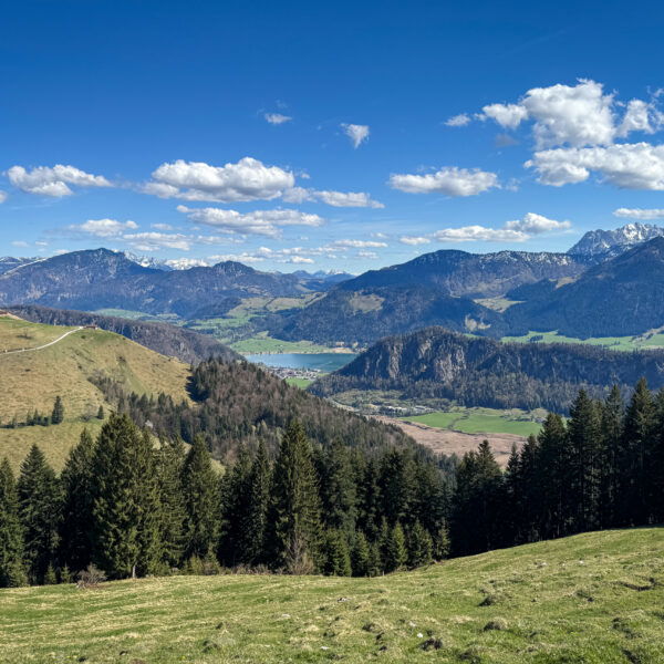 Blick auf den Walchsee. Foto: Bernhard Walle