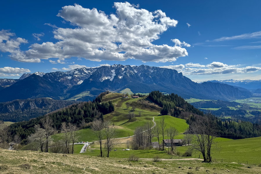 Unten an der Wiese mit Blick auf die Berge. Foto: Bernhard Walle