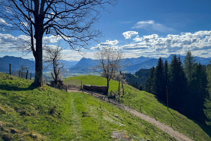 Vor Flecken. Foto: Bernhard Walle