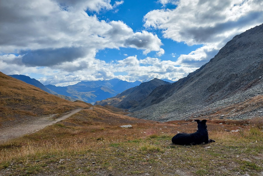 Aussicht von der Glorerhütte. Foto: Alice Frischherz