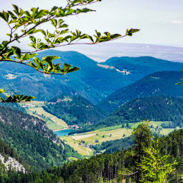 Aussicht ins Schneeberggebiet. Foto: Silvia Henglmüller