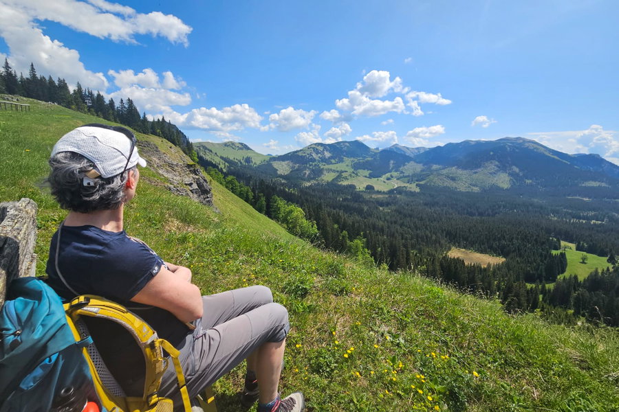 Blick zur Schneealpe. Foto J.
