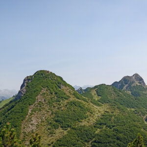 Itonskopf