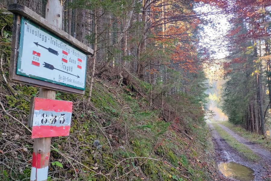 Am Beginn des Weges vom Hiaslegg zum Grünen See. Foto: Manfred Hinteregger