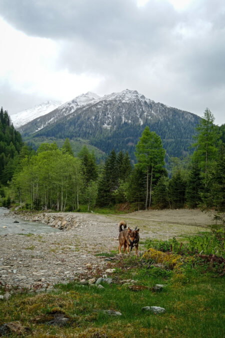 Entlang des Mallnitzbaches bis zum Besucherzentrum. Fotos: Birgit Frank