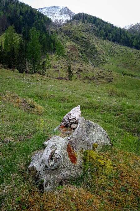 Entlang des Mallnitzbaches bis zum Besucherzentrum. Fotos: Birgit Frank