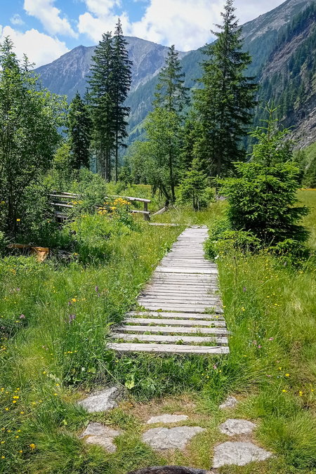 Beim Naturlehrweg. Fotos: Birgit Frank