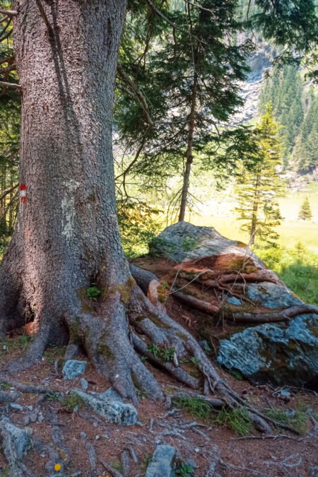 Beim Naturlehrweg. Fotos: Birgit Frank