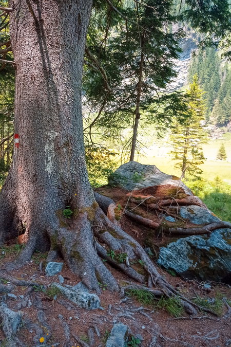 Beim Naturlehrweg. Fotos: Birgit Frank