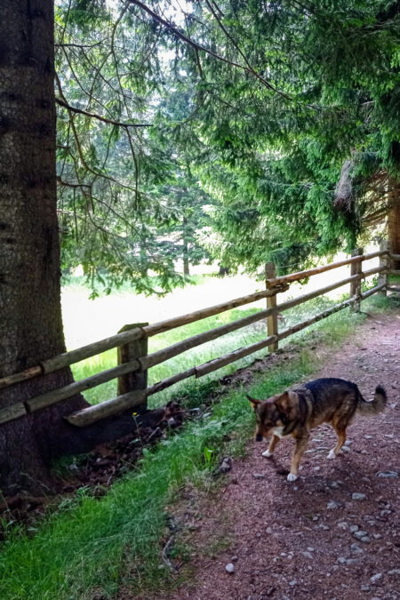 Unterwegs; Das Tunnelportal. Fotos: Birgit Frank