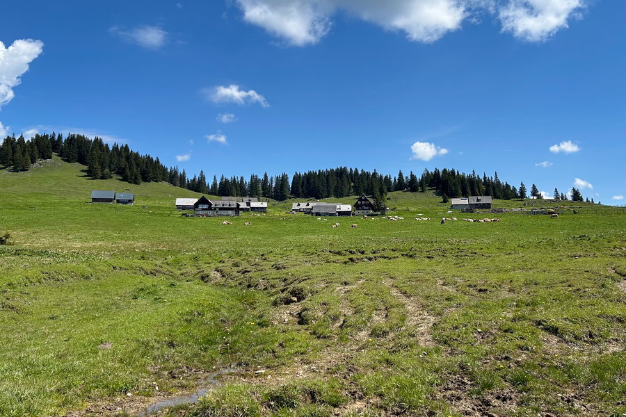 Hüttendorf auf der Hinteralm. Foto Veronika Schöll