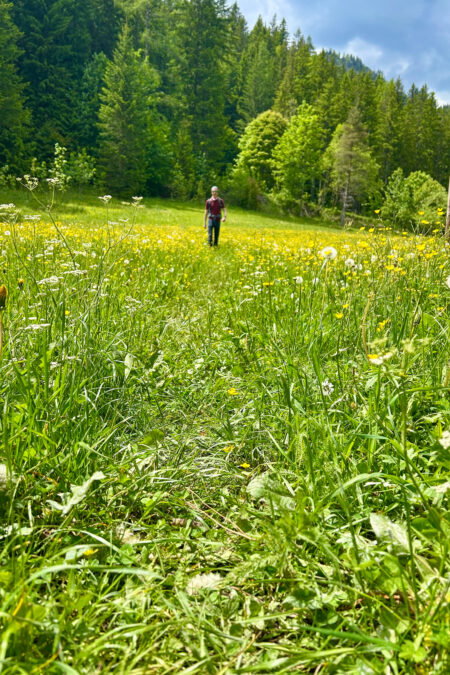 Knabenkraut und ein Grazer. Foto Veronika Schöll