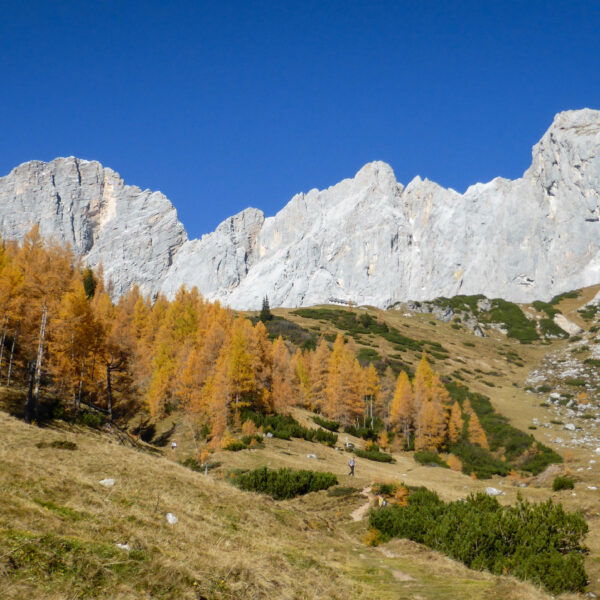 Dachsteinsüdwandhütte. Foto: Siebenbrunner, POW AT