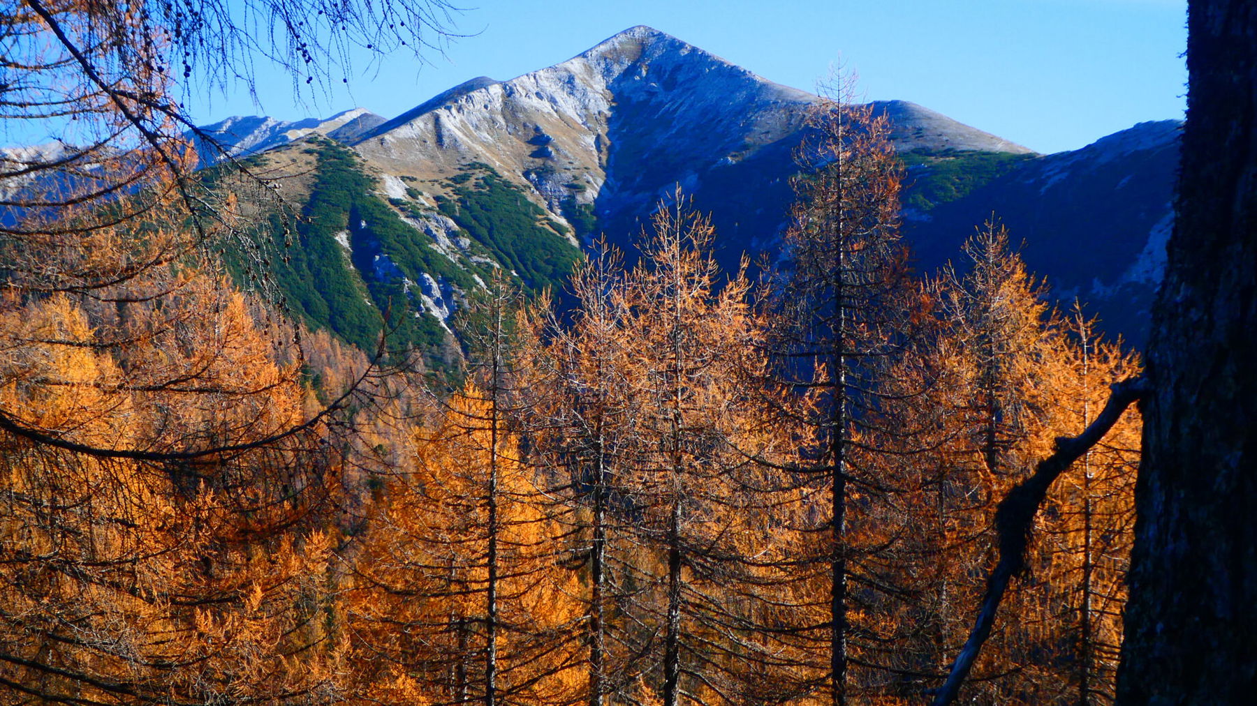 Foto: Karl Plohovich