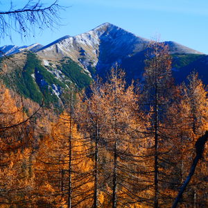 Vier Tage Herbst im Toten Gebirge: Warscheneck - Hochmölbing - Tauplitz