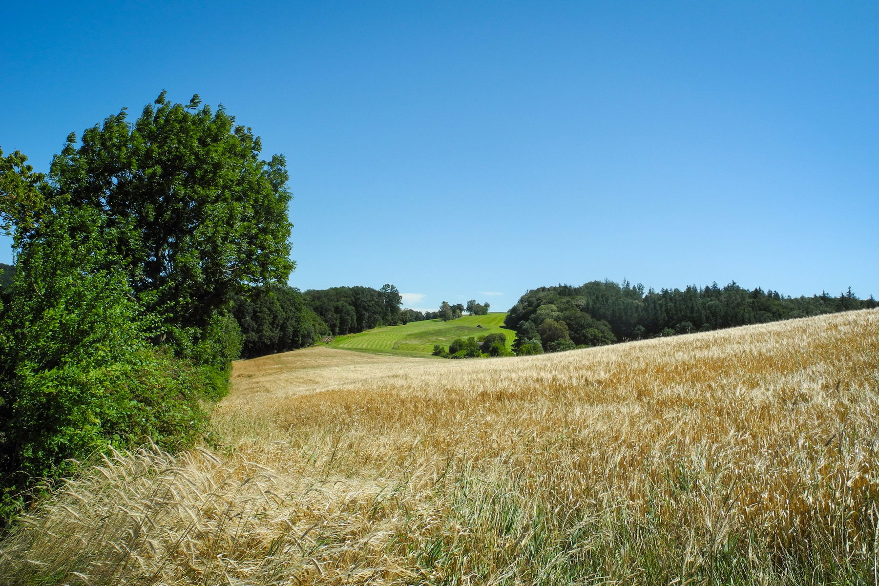 Über die Wiesen und Felder der Riedanleiten. Foto: Barbara Wanzenböck