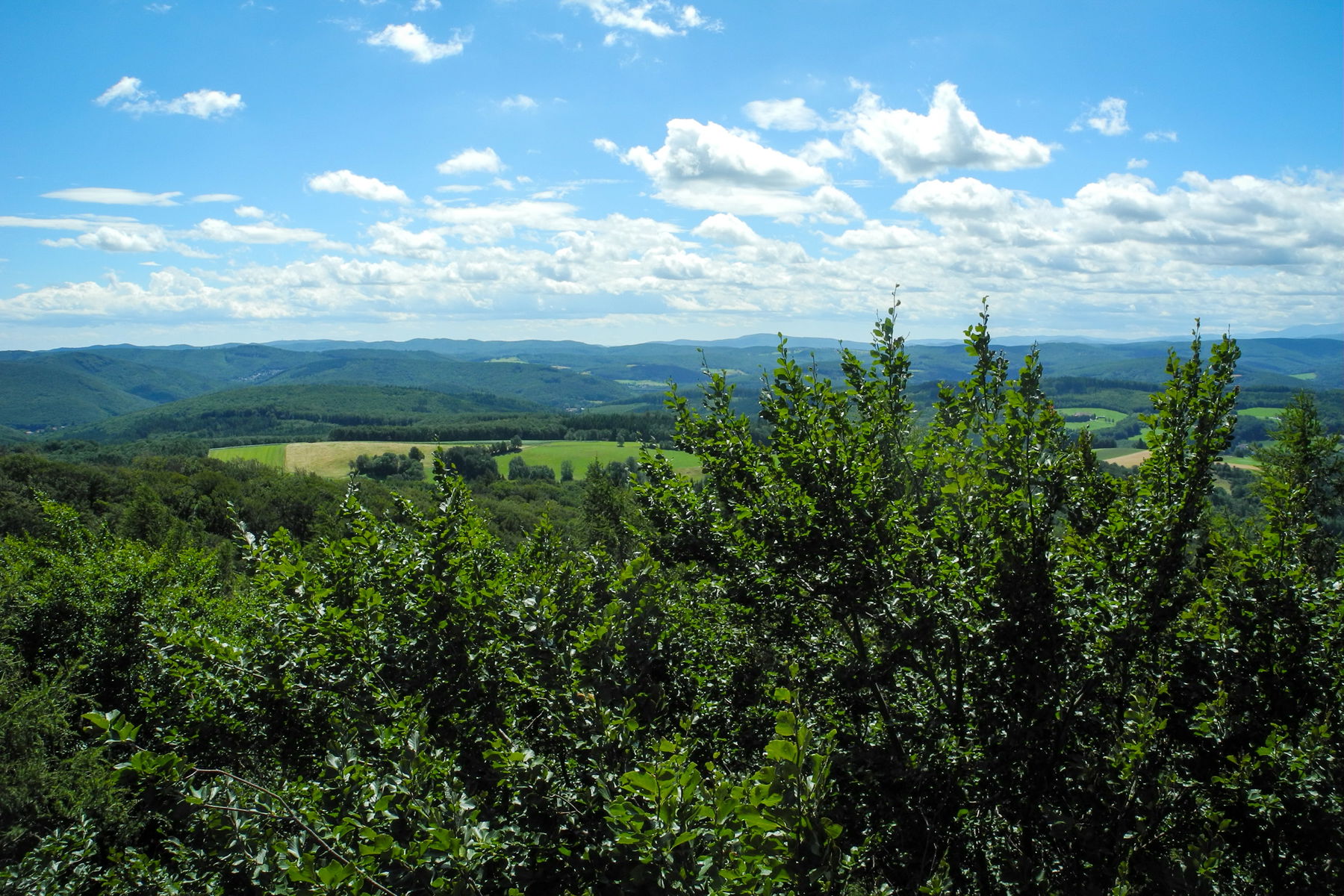 Weitblick Richtung Schneeberg. Foto: Barbara Wanzenböck