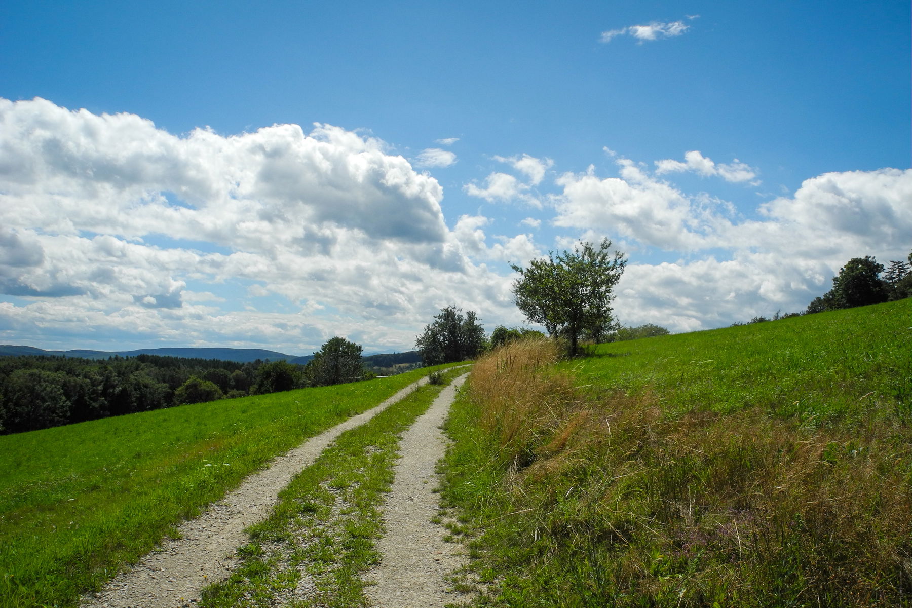 Am Weg zum Gasthof Mirli. Foto: Barbara Wanzenböck