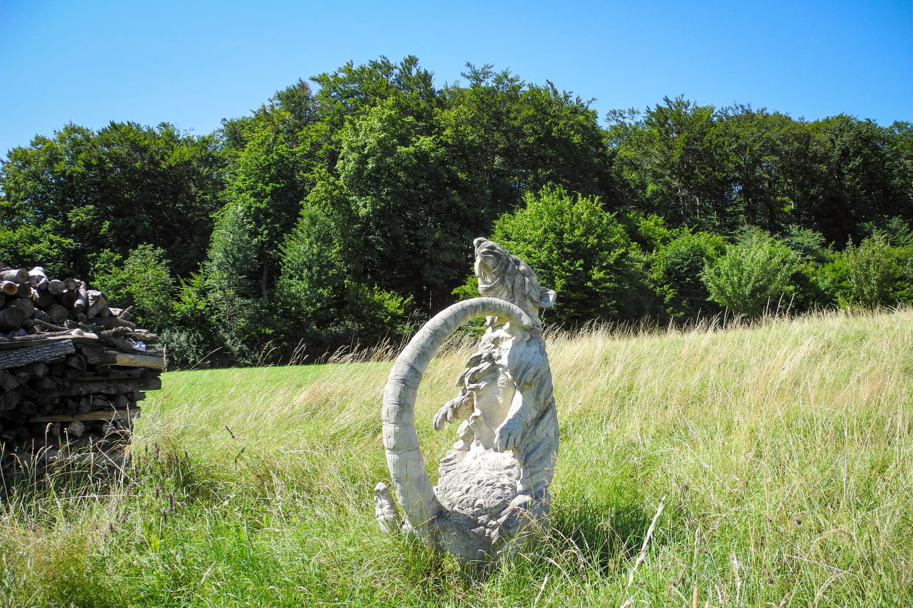 Die sitzende Ratte? Foto: Barbara Wanzenböck