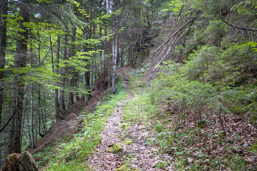 Der Weg durch den Reißgraben. Foto: Martin Heppner