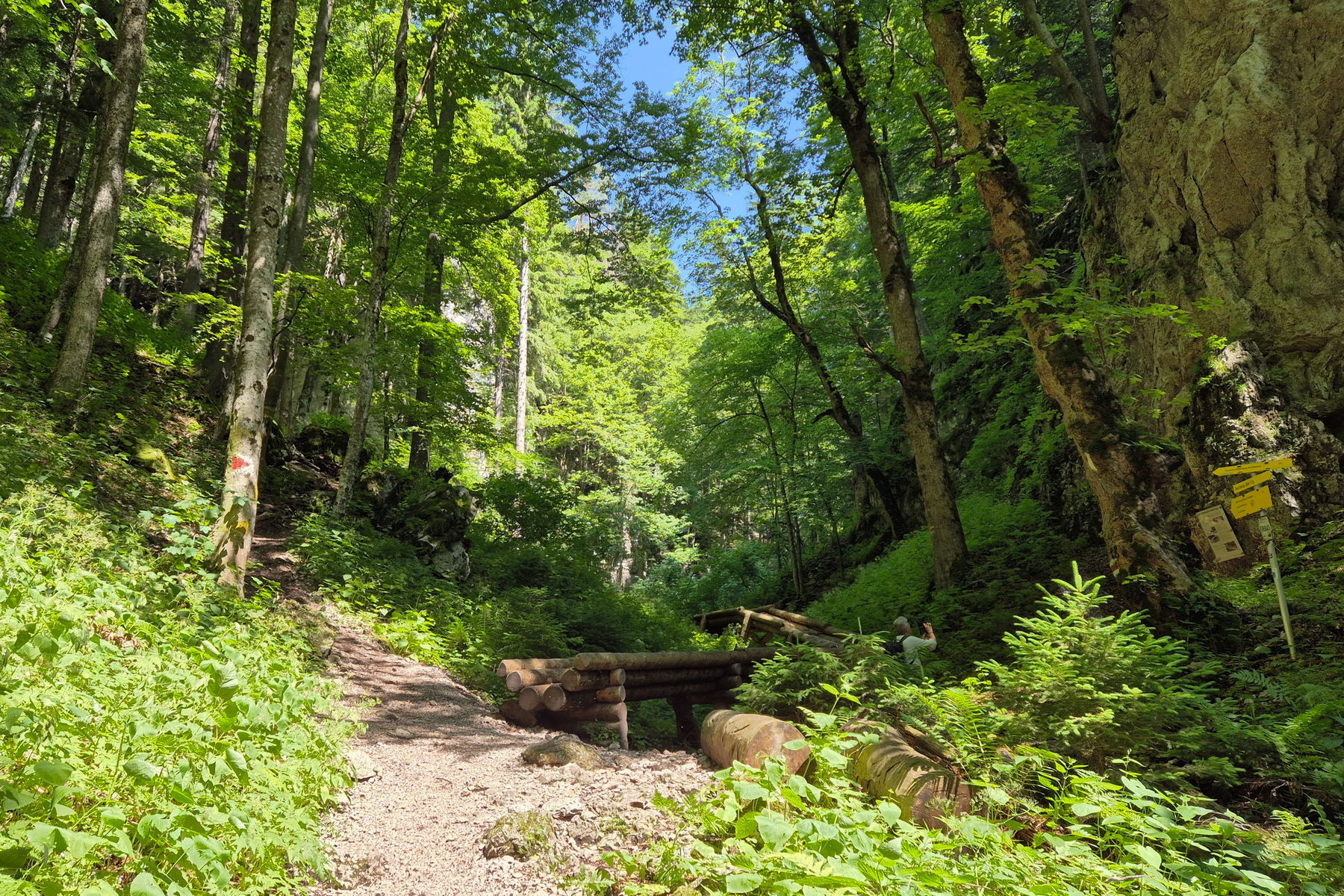 Die Holzrinne – hier geht es den Weg links neben der Rinne nach oben (gelbe Markierung). Foto: Linda Prähauser