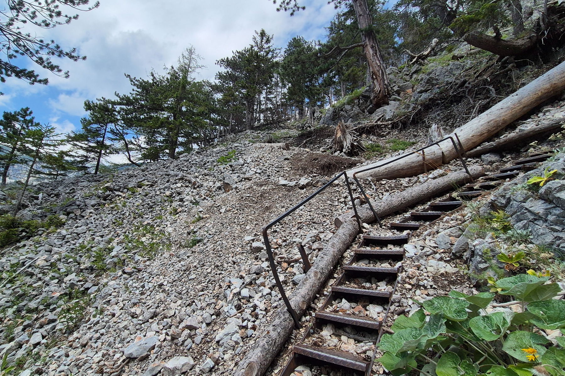 Über den Miesleitersteig (mit Seilsicherung, Stiegen und Geröll) geht es immer weiter bergab. Foto: Linda Prähauser