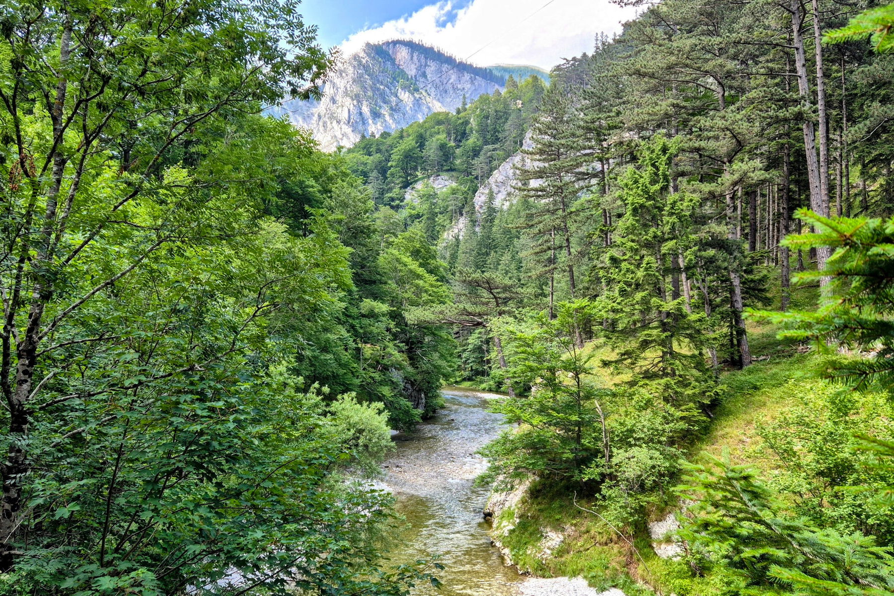 Blick auf die Schwarza vom 1. Wienerwasserleitungsweg. Foto: Linda Prähauser