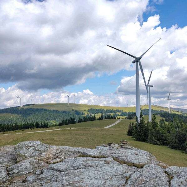 Kurz nach dem Steinriegel sind schon Roseggerhaus und Pretul zu sehen. Foto: Tobias Köhler