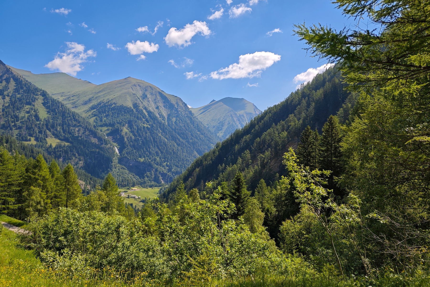 Blick zurück ins Murtal. Foto: Lisa Nussdorfer