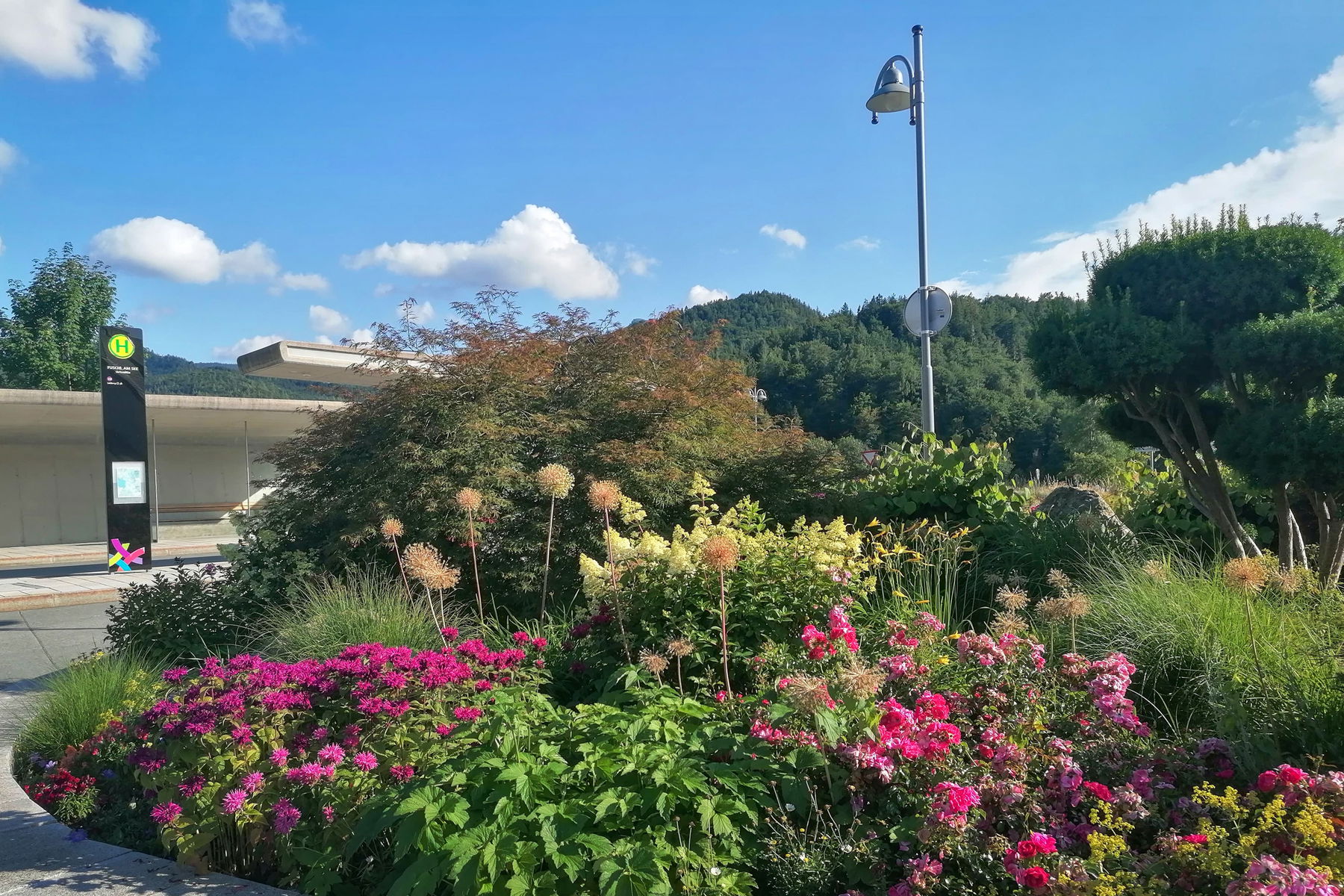 Blumiges Warten auf den Bus in Fuschl am See. Foto: Sarah Pallauf