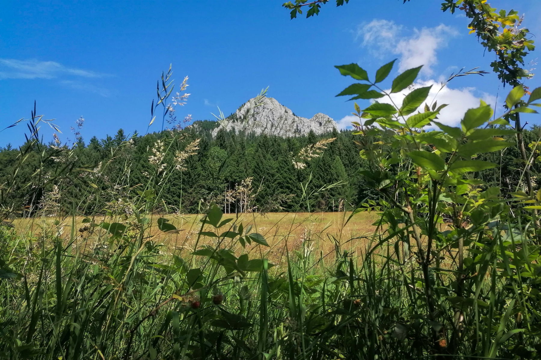 Ein Blick zurück auf den Frauenkopf. Foto: Sarah Pallauf