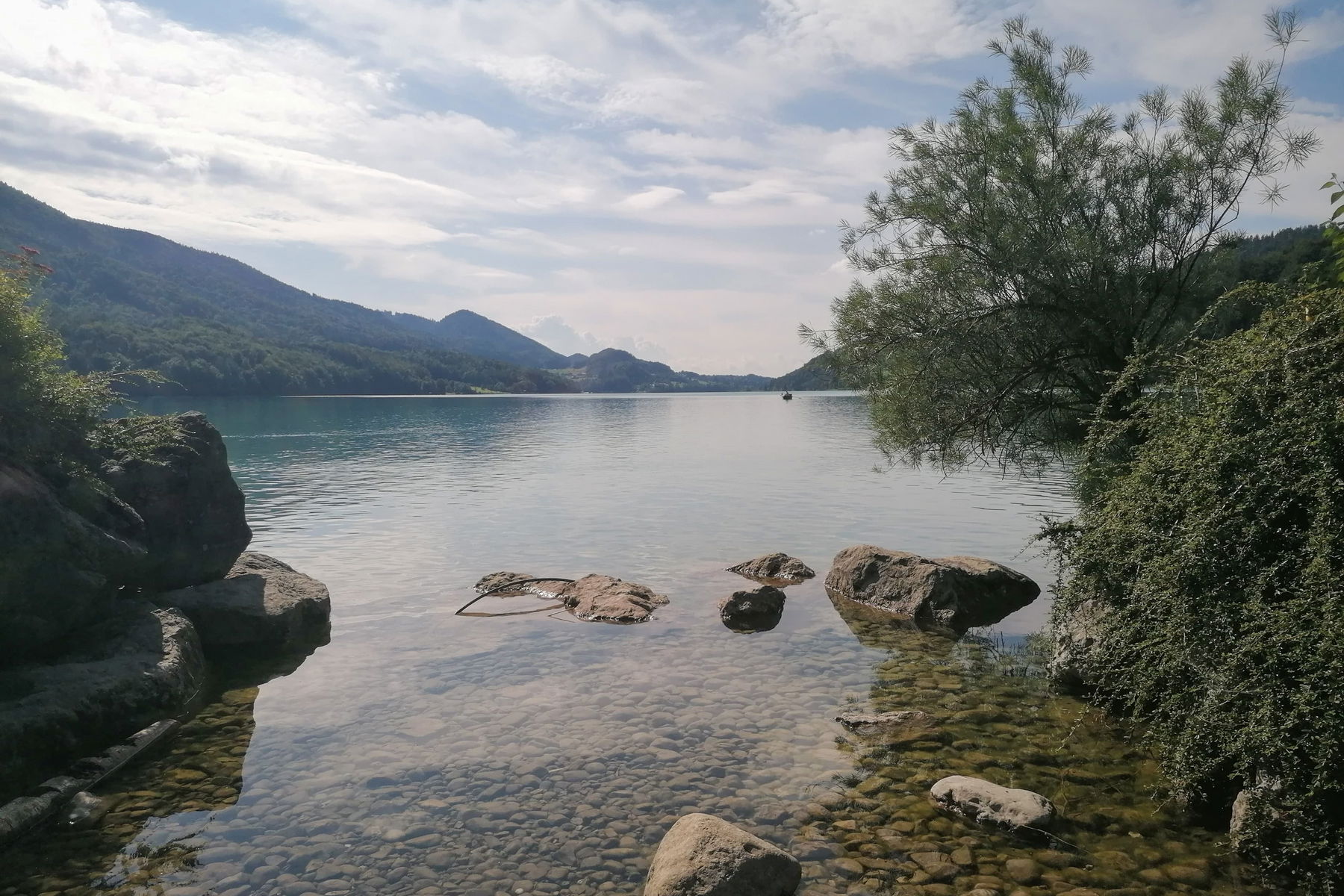 Ein Sprung in den Fuschlsee. Foto: Sarah Pallauf