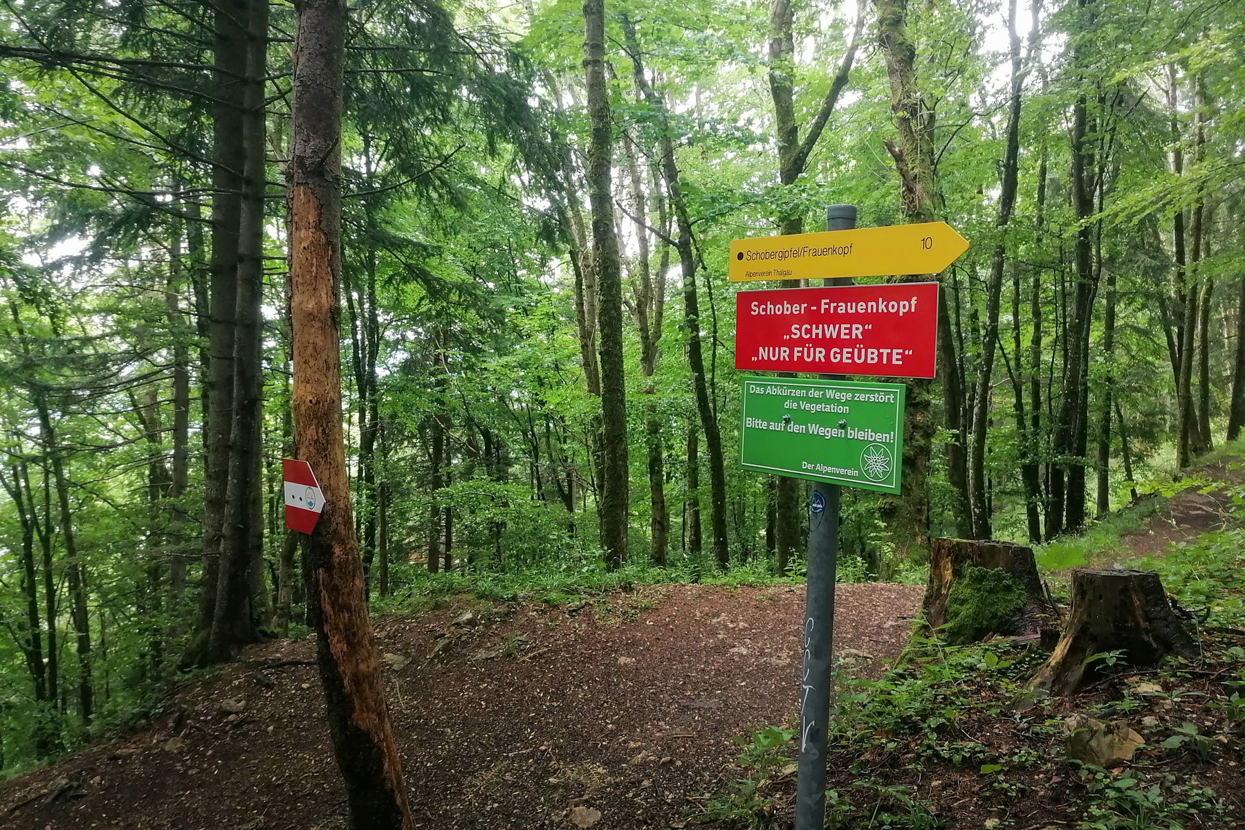 Entscheidung – gefällt! Foto: Sarah Pallauf