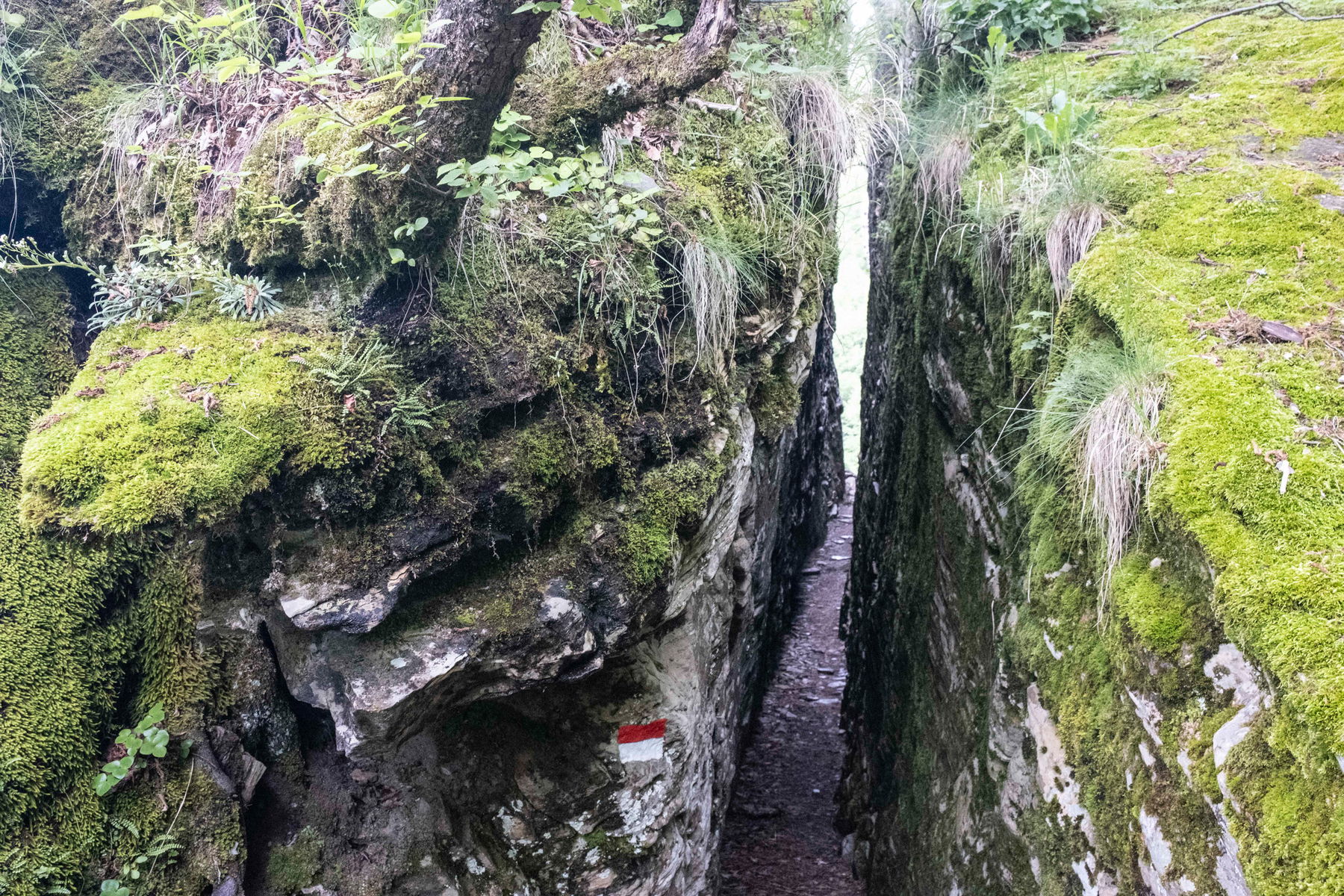 Ein vermutlich von Hirten geschlagener Spalt, durch den sich der Weg zur Weide verkürzte. Foto: Birgit Reiter