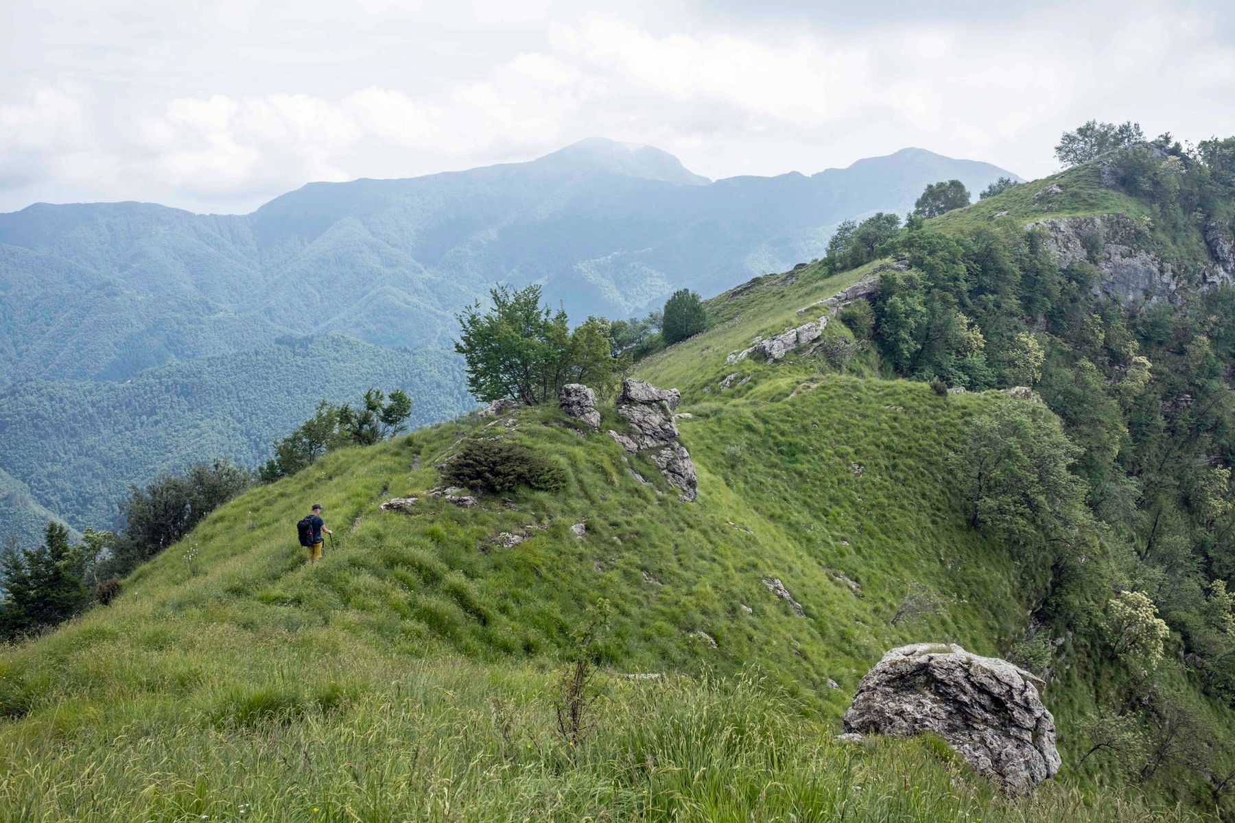 Über Grashänge nach Pruno; Mit Hahnenfuß gesäumter Pfad; Bilderbuchdorf Pruno. Fotos: Birgit Reiter