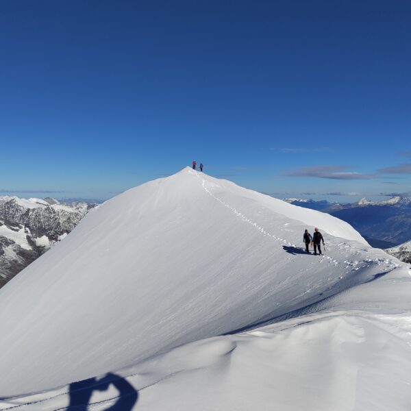 Die letzten Meter zum Weissmies-Gipfel. Foto: Simon Widy
