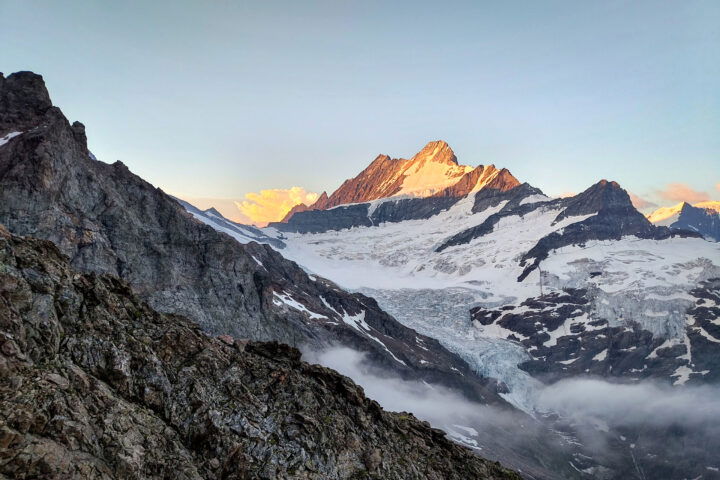 Frühmorgens am Chrinnengletscher, Lauteraarhorn und Schreckhorn werden bereits beleuchtet. Fotos: Simon Widy