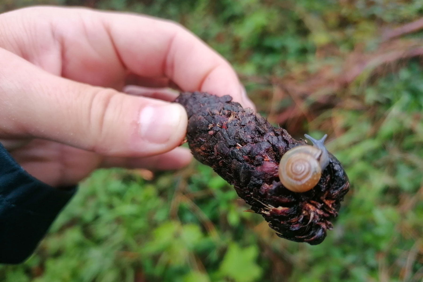 Manche sind happy. Foto: Sarah Pallauf